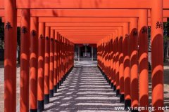 岳麓區咨詢企業建站如何選擇？